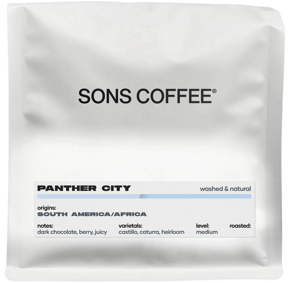 Panther City